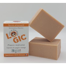 logic orange